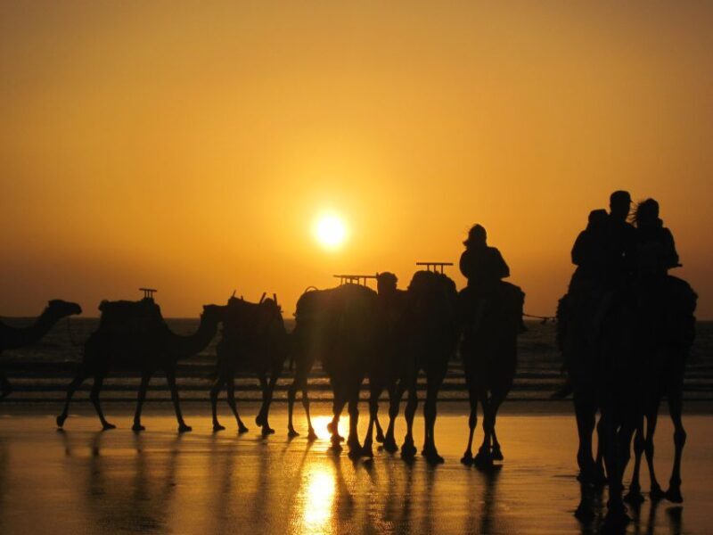Essaouira: One Hour Dromedary Ride - What to Expect from the Essaouira Dromedary Ride