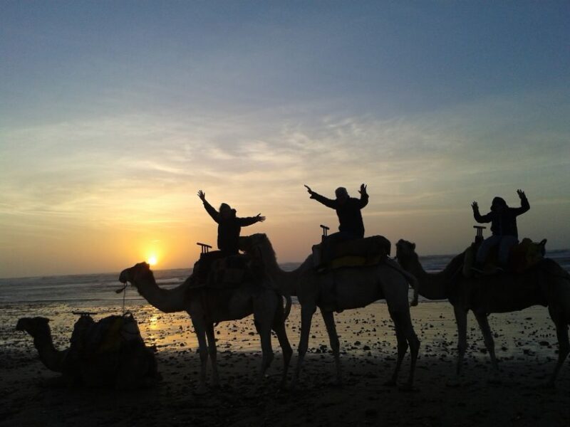 Essaouira: One Hour Dromedary Ride - The Practical Details