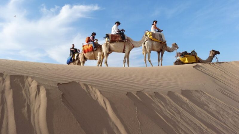Essaouira: One Hour Dromedary Ride - Who Is This Tour Best For?