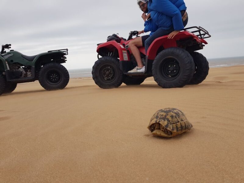 Essaouira P12 : 1h Quad bike tour and 1h dromedary Ride - An In-Depth Look at the Tour Experience