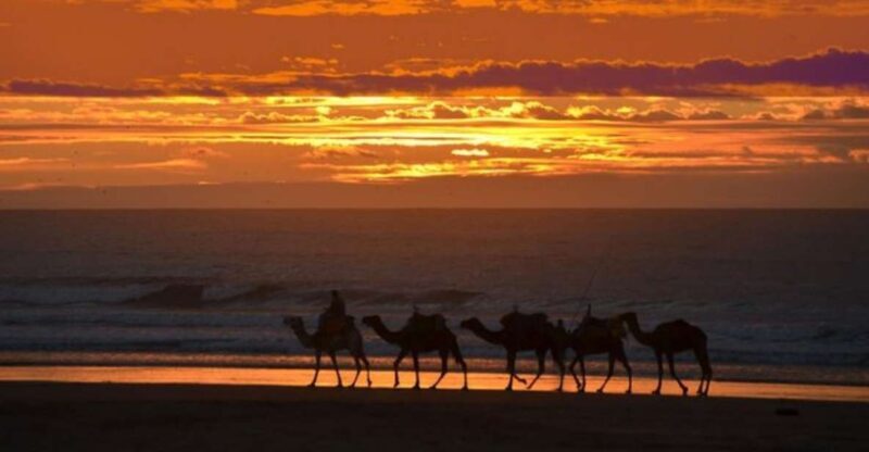 Essaouira P12 : 1h Quad bike tour and 1h dromedary Ride - Frequently Asked Questions