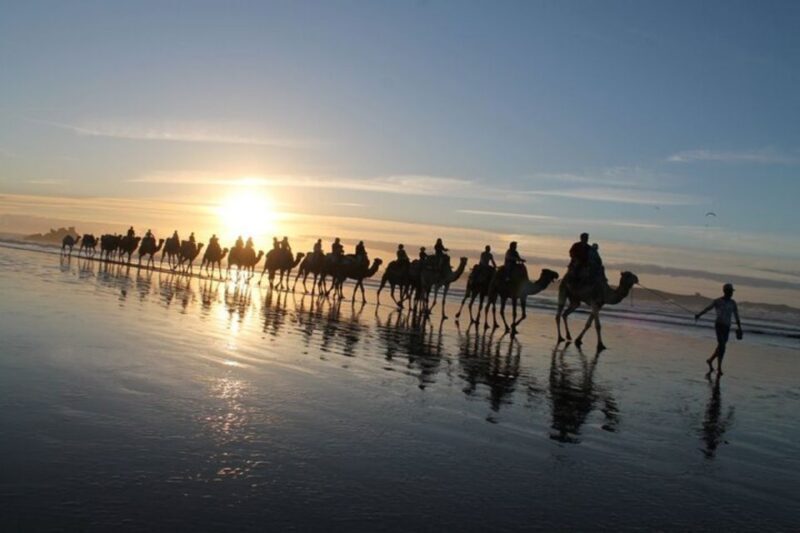 Essaouira P14: 2 Hours Quad Bike Tour and 1 Hour Camel - Discovering the Landscape and Landmarks