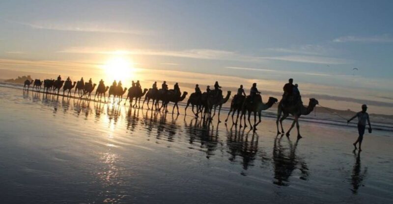 Essaouira P14: 2 Hours Quad Bike Tour and 1 Hour Camel - The Camel Ride: A Gentle Finish
