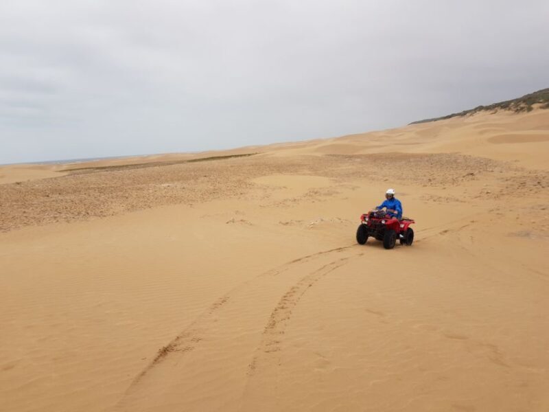 Essaouira P14: 2 Hours Quad Bike Tour and 1 Hour Camel - Practical Details and Considerations