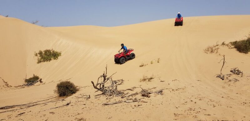Essaouira P14: 2 Hours Quad Bike Tour and 1 Hour Camel - The Sum Up: Who Will Love This Experience?