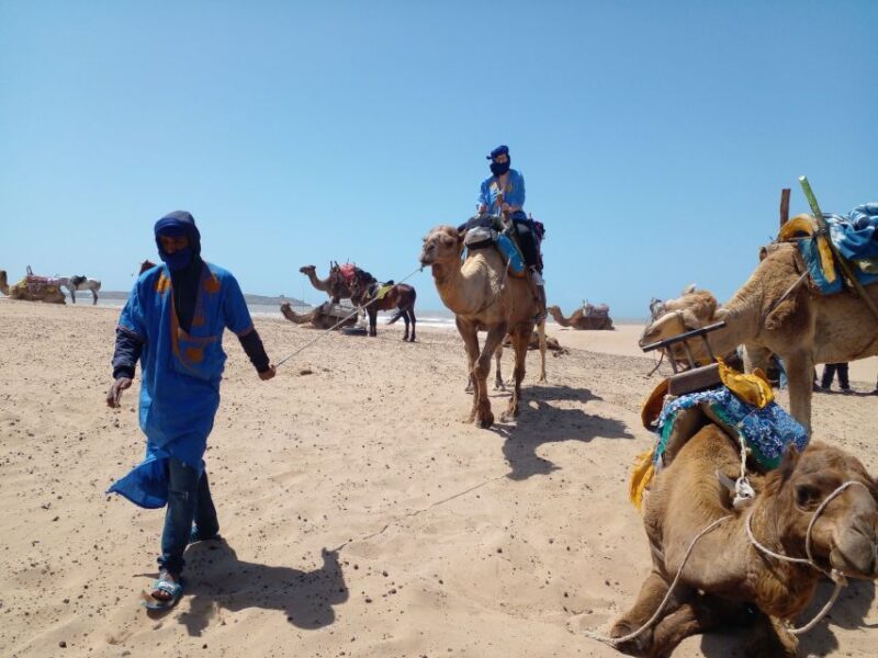 Essaouira P14: 2 Hours Quad Bike Tour and 1 Hour Camel - FAQ