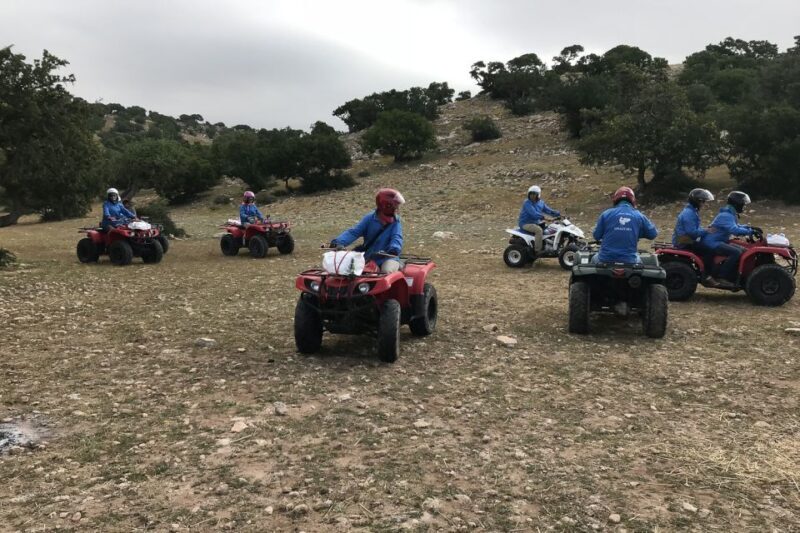 Essaouira P3: Quad tour forest beach dunes (free transfer) - Authentic Feedback and Insights