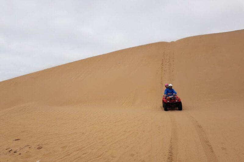Essaouira P3: Quad tour forest beach dunes (free transfer) - The Sum Up