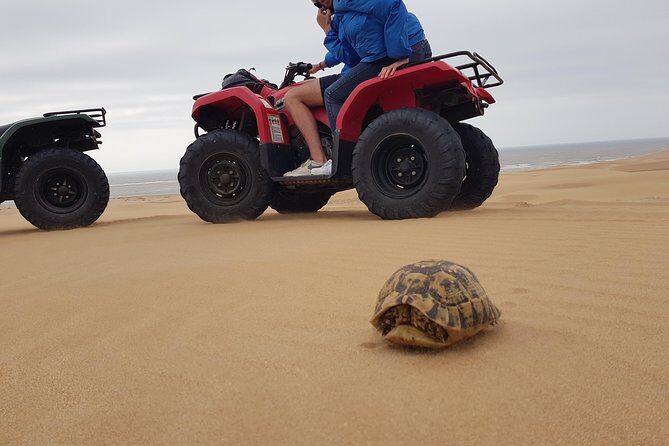 Essaouira: Pleasant Quad tour (free transfer) - Key Points