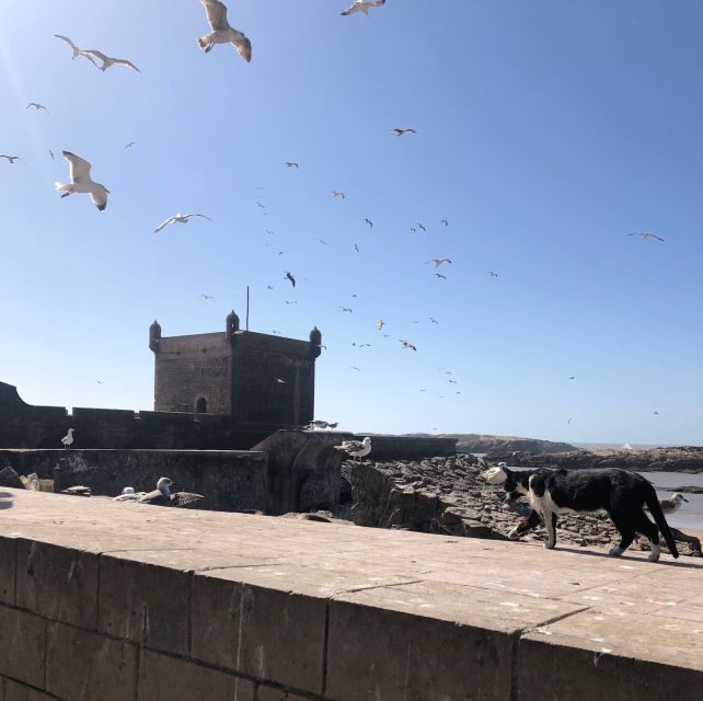 Essaouira: Private City Tour - The Sum Up