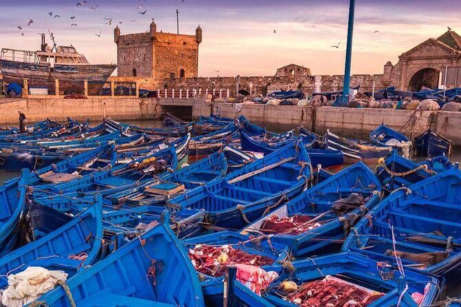 Essaouira Private Day Trip from Marrakech - Final Thoughts