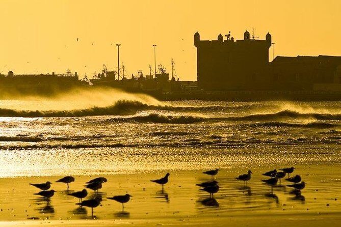 Essaouira Private Full-Day Trip from Marrakech (All-inclusive) - Exploring the Journey from Marrakech to Essaouira