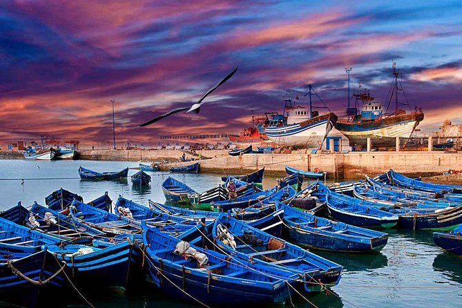 Essaouira Private Full Day Trip From Marrakech - The Journey Begins: Setting Out from Marrakech