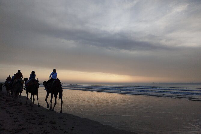 Essaouira Private Full Day Trip From Marrakech - Practical Tips for a Smooth Experience