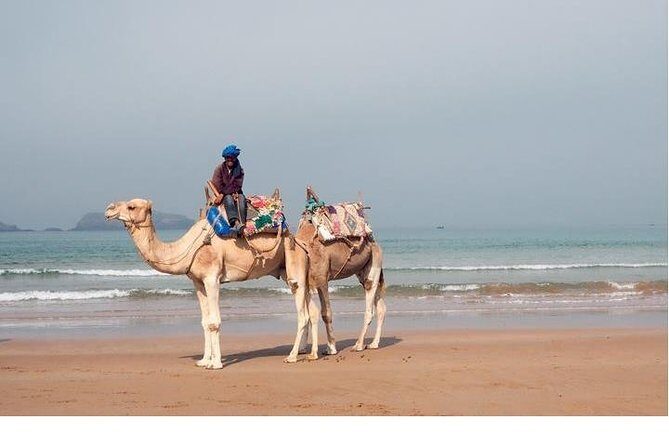 Essaouira: Private or Small-Group Day Trip from Marrakech - The Transportation and Overall Experience