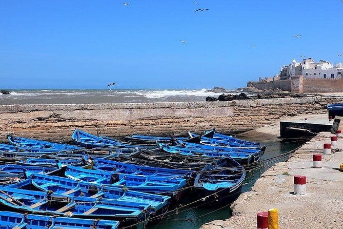 Essaouira Private Tour from Marrakech - Exploring the Essaouira Private Tour from Marrakech
