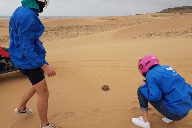 Essaouira: Quad dunes beaches ride (free transfer). - Key Points  
