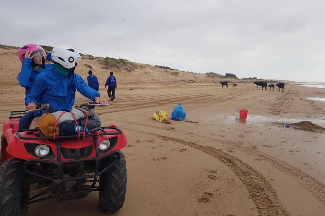 Essaouira: Quad tours (free transfer) - Authentic Insights from Reviewers
