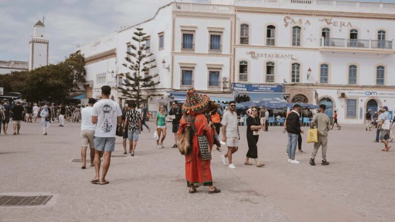 Essaouira: Sqala du Port, Citadel, Fish Market & Medina Tour - Who This Tour Is Best For