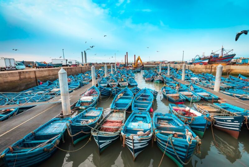 Essaouira: Surf Trip from Marrakech - Who Will Love This Tour?