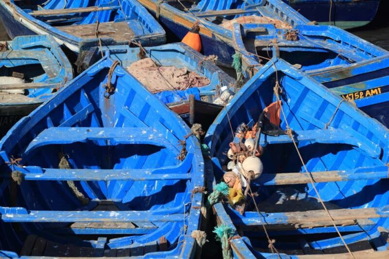 Essaouira: The City That's Always With You Tour - Key Points