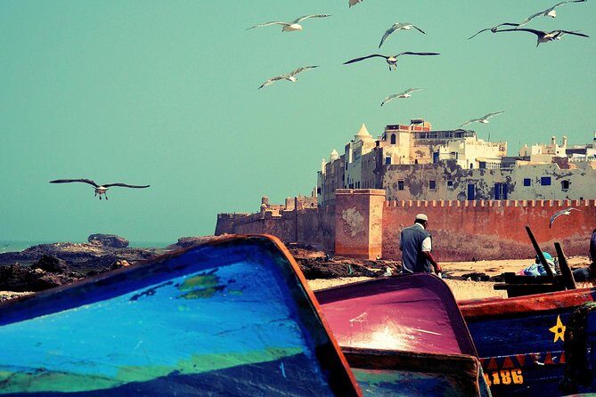 Essaouira The Small Fishing Harbor - A Closer Look at the Tour Experience