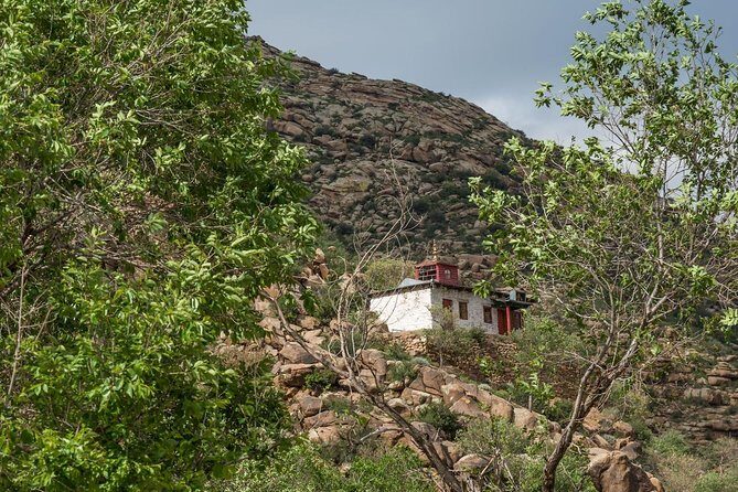 Essence of Mongolia 4 Days - Final Thoughts