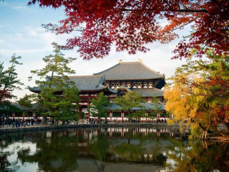 Essential Nara: Origins of Spiritual Japan - The Heart of the Tour: Key Stops and What to Expect