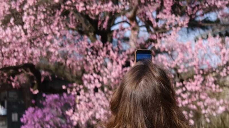 Essential Seoul: Hanbok, Hanok & Handmade Noodles - Why You Should Consider This Tour