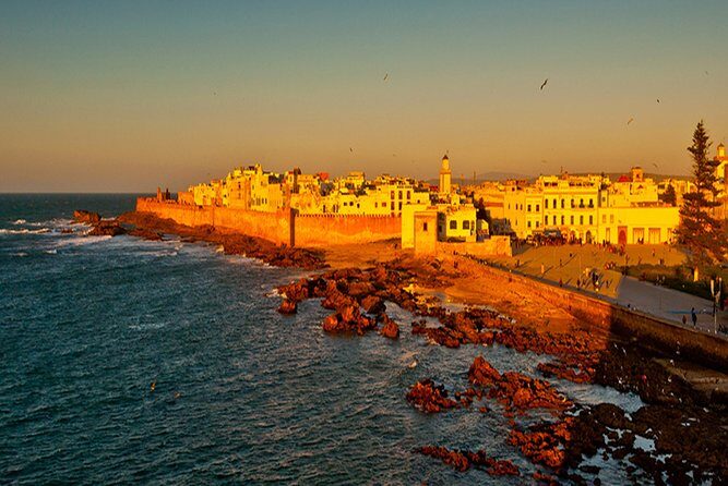 Essouira Full-Day Tour from Agadir with a group - Visiting the Argan Oil Cooperative
