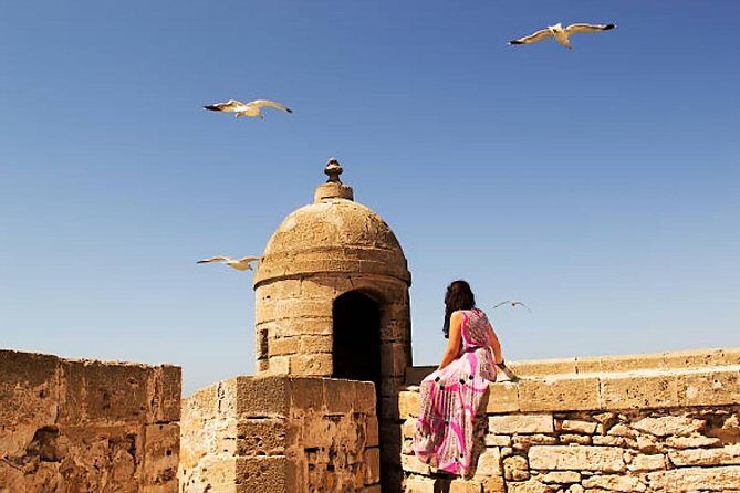 Essouira Full-Day Tour from Agadir with a group - The Sum Up: Who Should Consider This Tour?