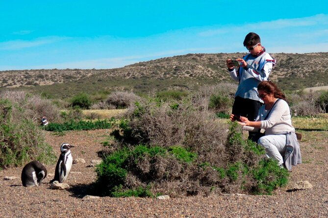 estancia-san-lorenzo-home-of-the-largest-penguin-colony