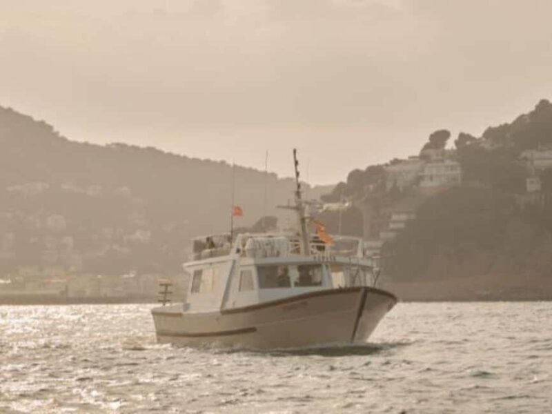 Estartit: Sunset Cruise with Snorkeling and a Drink - Estartit: Sunset Cruise with Snorkeling and a Drink — A Complete Guide