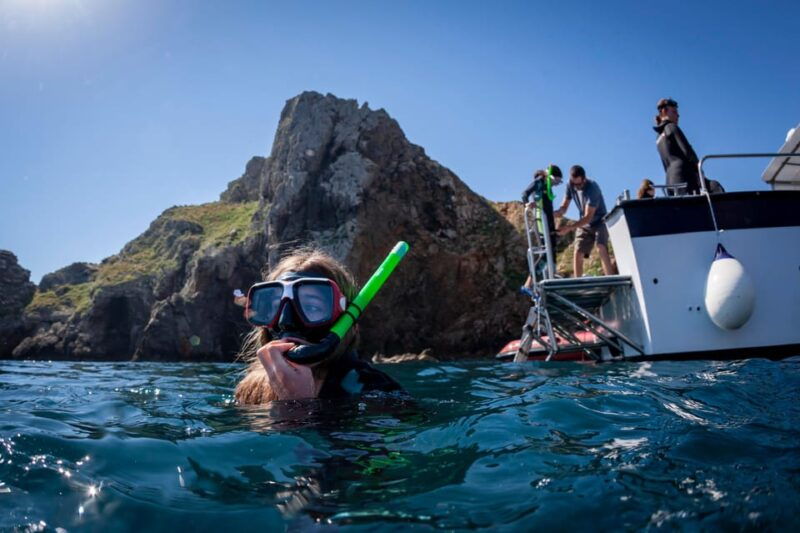 estartitboat-trip-around-medes-island-and-swim-in-the-coast