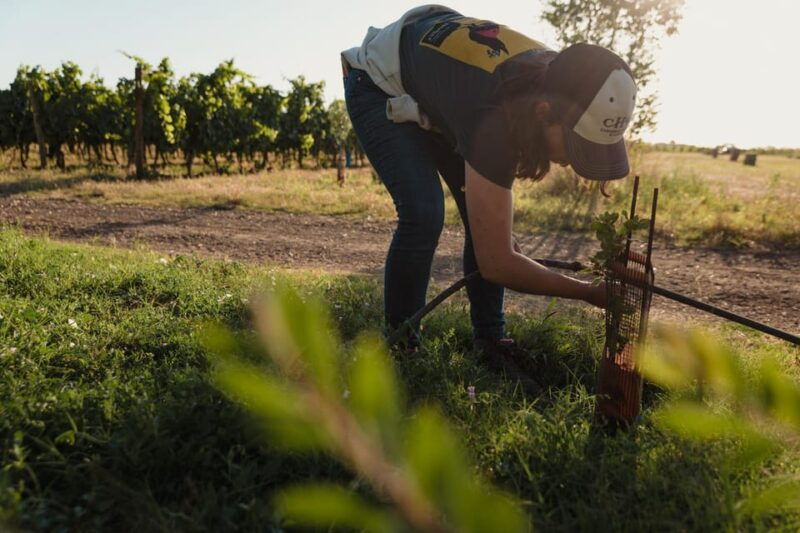 estate-tour-and-tasting