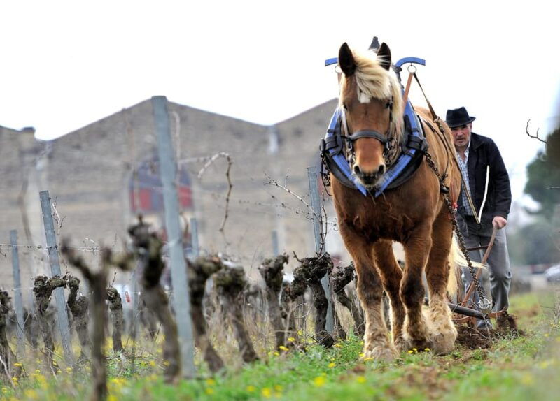 estate-tour-and-tasting