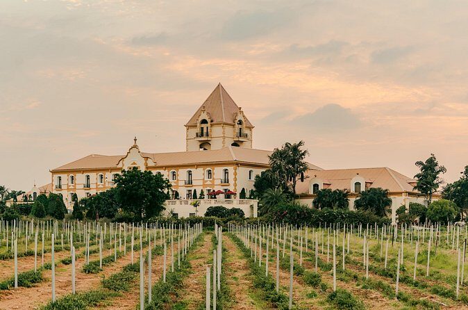 Estate Wine Tour Hotel Irada Pune - Who Should Book This Tour?