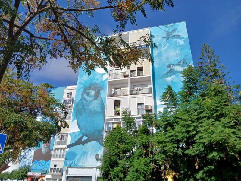 estepona-art-murals-and-tapas-walk-with-local-guide