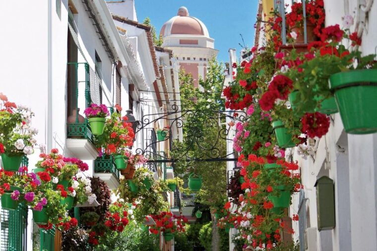 estepona-best-kept-secrets-city-bike-guided-tour