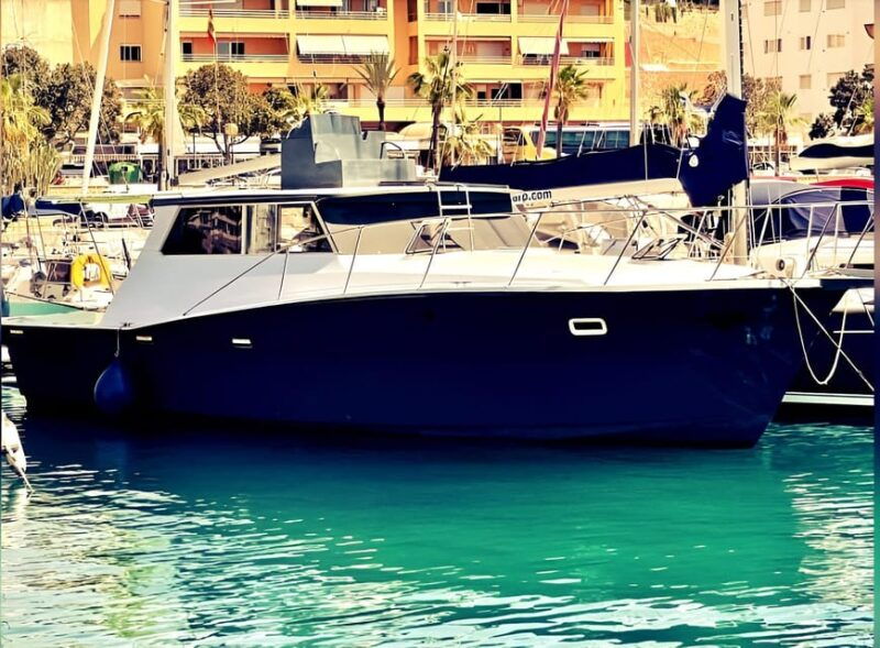estepona-dolphin-searching-sunset-cruise-with-drink-snack