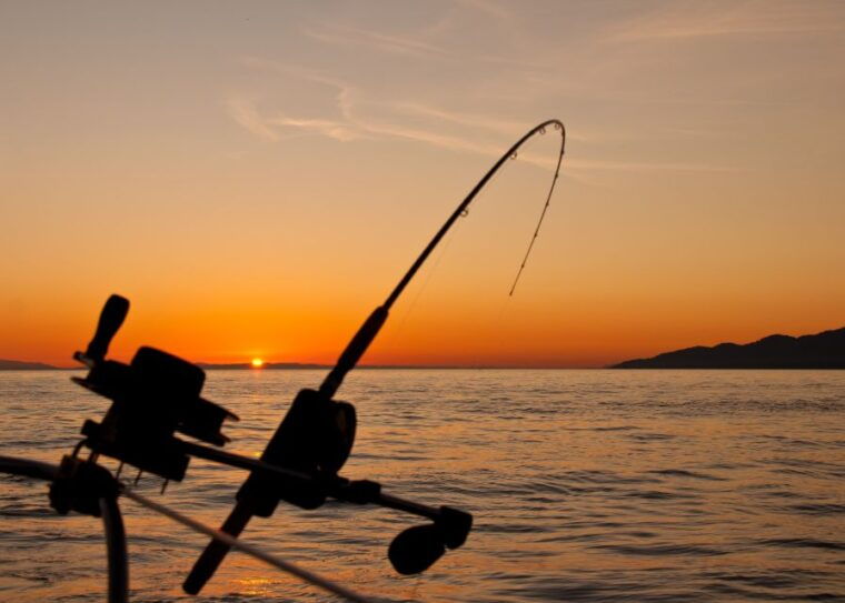 estepona-fishing-tour-startfisher-1060