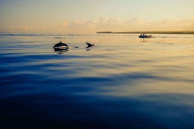 Estepona: Private sailing trip ideal for groups of up to 10 people. - An Authentic Sailing Adventure from Estepona