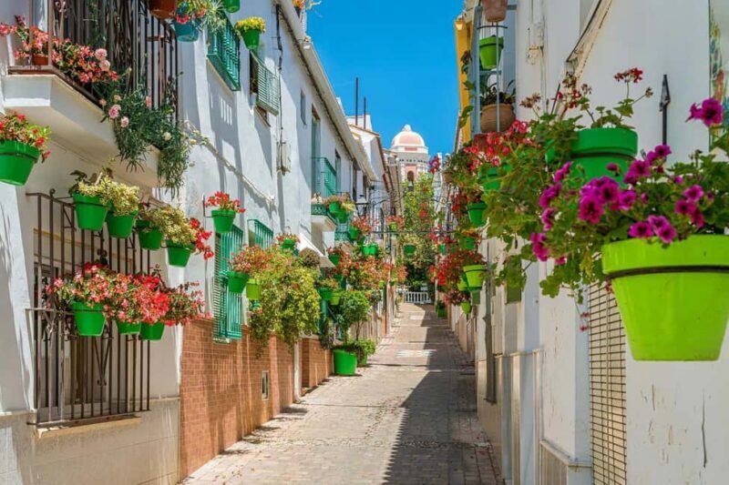 Estepona: Private sailing trip ideal for groups of up to 10 people. - Value and Cost Analysis