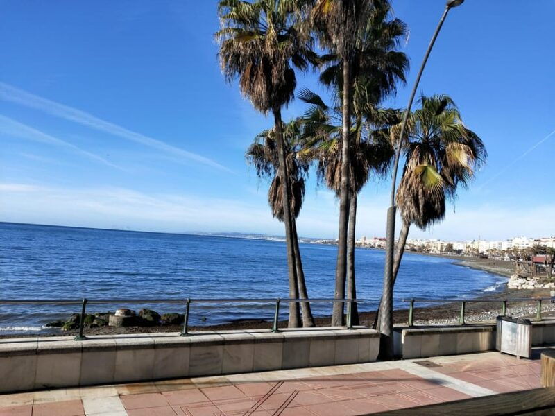 estepona-walking-tour-city-history-culture-gastronomy