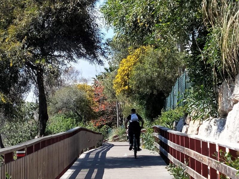 estepona-walking-tour-city-history-culture-gastronomy