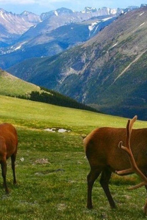 estes-park-bear-lake-corridor-tour