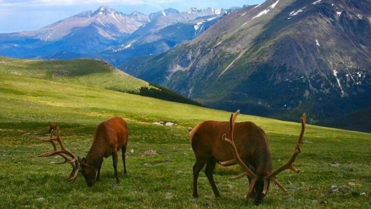 estes-park-bear-lake-corridor-tour