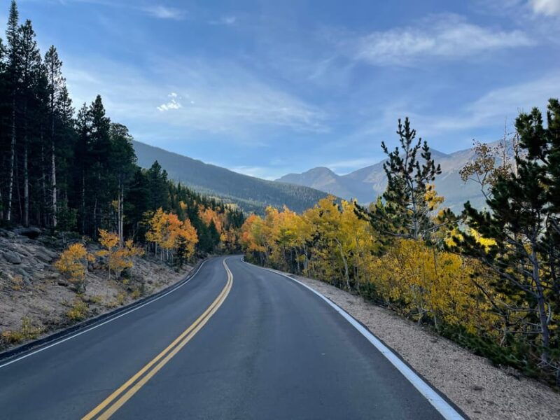 estes-park-guided-sunset-elk-mating-ritual-tour