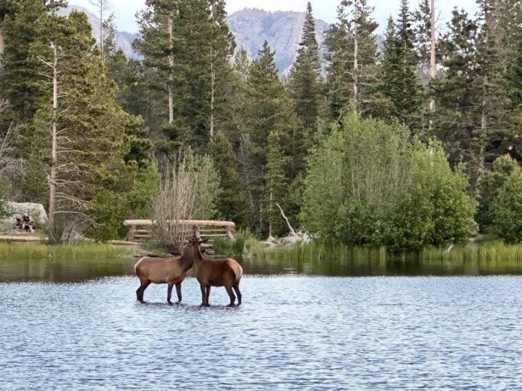 estes-park-rocky-mountain-national-park-glass-top-bus-tour