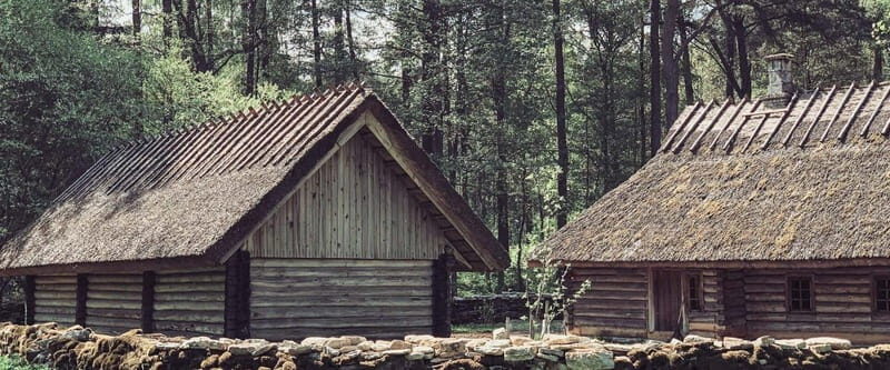 Estonian Open Air Museum  Cultural Experience from Tallinn - Who Should Consider This Tour?